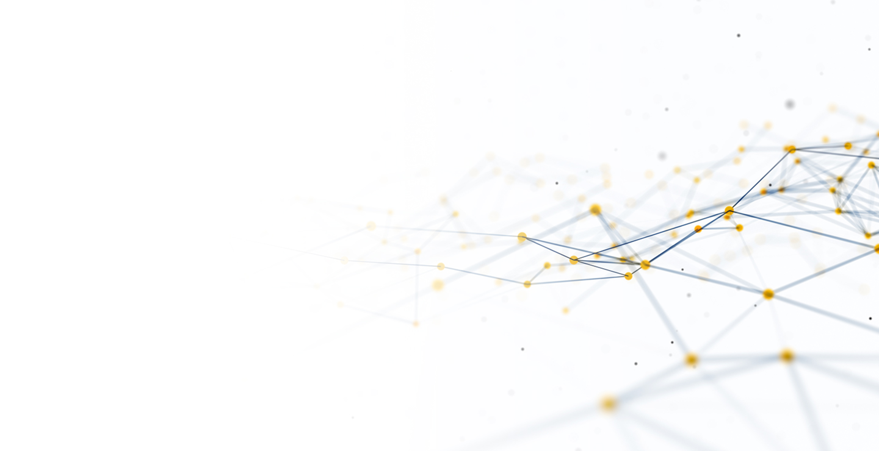 Platform Capital